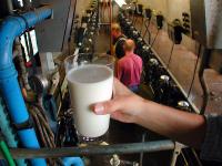 milch_glas_melkstand.jpg Milch, Glas, Melker