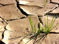 W�ste_Fotolia_8272388_S.jpg 