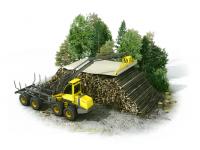 ffo-Walki_Biomass_Cover_1.jpg 