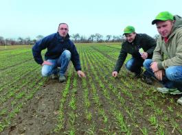 Anfang M�rz haben die jungen Praktiker aus Gro�enhain in Sachsen ihren Weizen in Augenschein genommen. &copy; Foto: Quo�