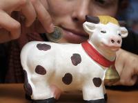 Sparschwein_Kuh_Geld.jpg Milch, Sparschwein