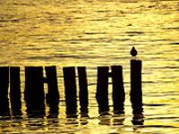 ft.ostsee.Mike-Haufe.jpg 