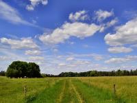 Land_Wiese.jpg 