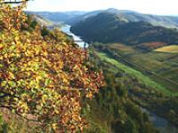 ft_Markus-Barzen.jpg Wein, Mosel