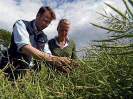 Die Bayern-LB hat ihre Produktreihe 'Rohstoffabsicherung' erweitert.&copy; M�hlhausen/landpixel