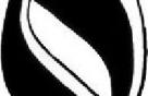 temp Image