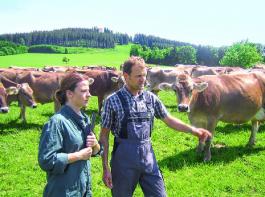 Die ganze Herde im Blick