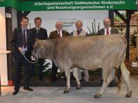 BraunviehGr�neWoche.jpg 
