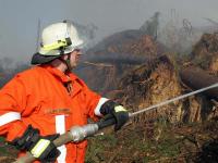 Waldbrand.jpg 