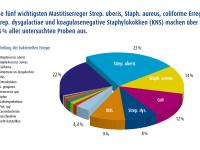 MastitisErreger.gif 