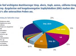 Bundesweite Verteilung der Mastitis-Erreger&copy; Boehringer Ingelheim