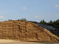 Maissilage_02.jpg 