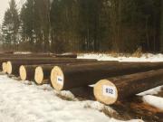 Teaser Bild