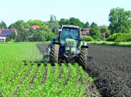 
Umbruch tut weh: Amtliche Anordnungen dazu m�chte niemand haben. Auf 2.000 Euro/ha Schaden kann niemand sitzen bleiben. &copy; landpixel