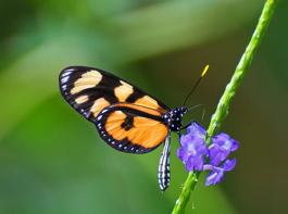 &copy; J�rgen Treiber/aboutpixel.de
