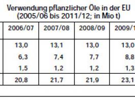 Raps: Trockenheit d�mpft Ertragsaussichten