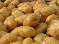 Kartoffeln.jpg 