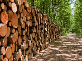 (Bild: iStockphoto)