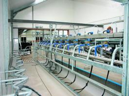 Das maximal f�rderungsf�hige Investitionsvolumen wurde von 1 Mio. � auf 750.000 � abgesenkt.&copy; Werkfoto