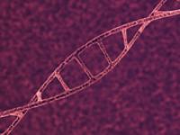 Stephen-Sweet_1731804.jpg DNA, Gentechnik