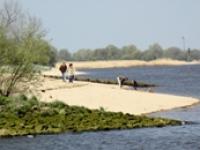 41_Vordruck_Titelgeschichte Schweinswale_Foto Wesermarsch.jpg 