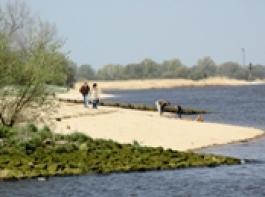 Eine neue Attraktion f�r Wesertouristen: Mit etwas Gl�ck 
lassen sich Schweinswale beobachten.
Titelbild und Foto: Peter Andryszak