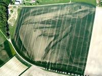 Trockensch�den-Getreide_agr.jpg 