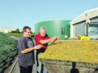 41_biogas_und_mais_foto_lpix60566.jpg 