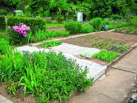 _2011_Garten_Vlies_mb.jpg 