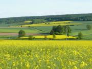 Teaser Bild