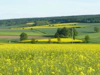 Landschaft2_Raupert_P1030455.jpg 