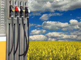 Nach Auffassung von Argentinien wird die Erzeugung von Biodiesel in der EU im Rahmen der Klimapolitik auf unzul�ssige Weise subventioniert.&copy; Heino Pattschull - Fotolia.com