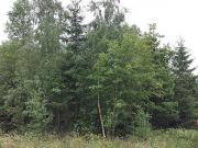 Teaser Bild