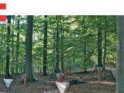 Teaser Bild