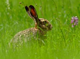 &copy; Claude-Tacheron/Fotolia