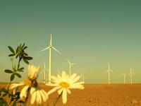 Windkraft.gif 