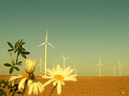 Die Energiewende stimmt die Windkraft-Industrie �u�erst optimistisch.&copy; Christian W�ller/aboutpixel.de