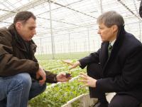 Ciolos_Gem�seanbau_600.jpg 