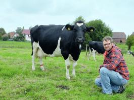 G�nter Hanne posiert mit Gerda, der Gro�mutter des Stabilo-Sohns Sternboy. 