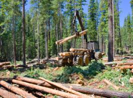 (Bild: iStockphoto)