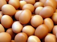 Eier_600.JPG 