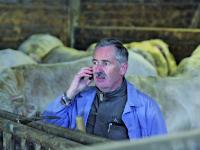 _TH_Bullenmast_Marktnah_06 