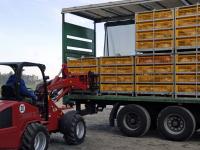 HaehnchenVerladen.jpg 
