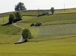 Fast 20 Prozent des Gr�nlands der EU liegen im Schutzgebietsnetzwerk Natura 2000. &copy; bem