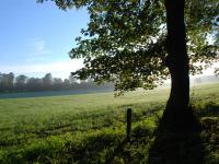 Landschaft.jpg 