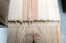 Teaser Bild