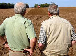 Die Stimmung ist bei den Landwirten gut, wie das DBV-Konjunkturbarometer zeigt.&copy; M�hlhausen/landpixel