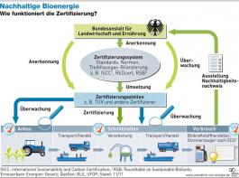 Gr�nes Wachstum durch Bioenergie
