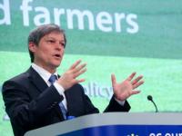 Ciolos_600-480.jpg 