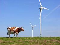  Windenergie